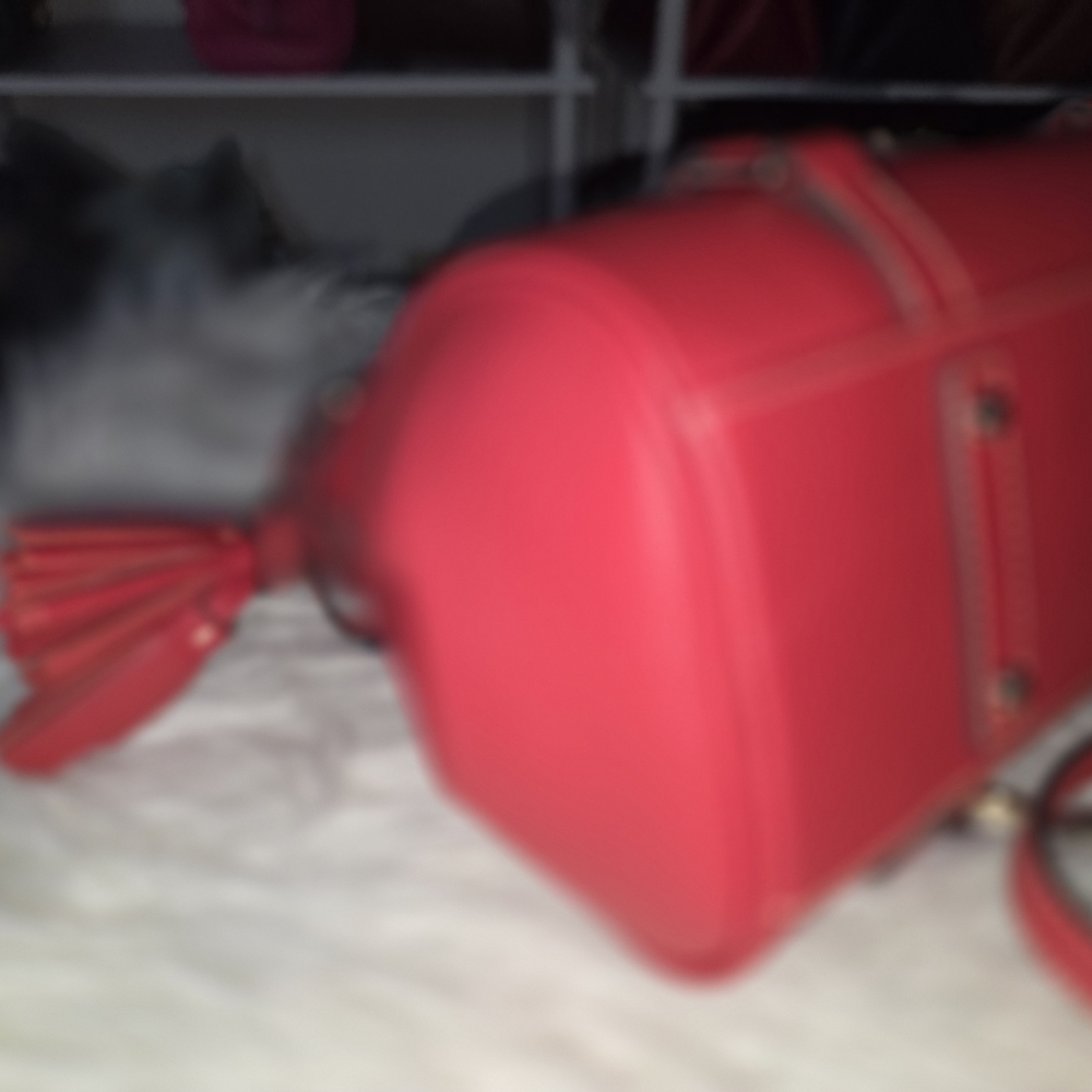 Dooney & Bourke Coral-Red Pebbled Leather Satchel with Tassel - Picture 6 of 9